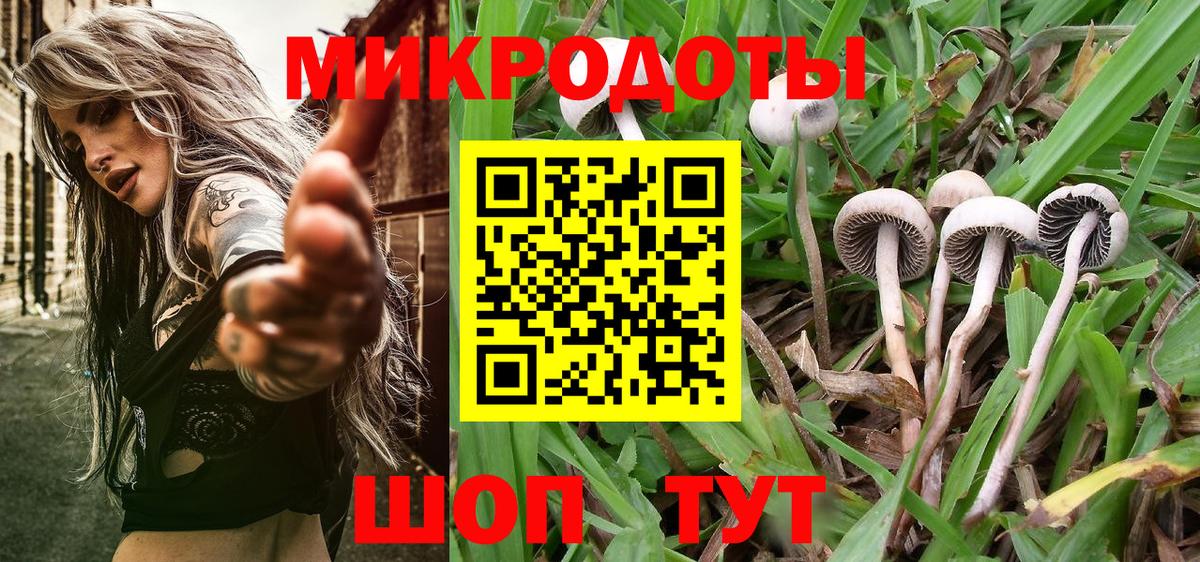 Псилоцибиновые грибы мухоморы Муром